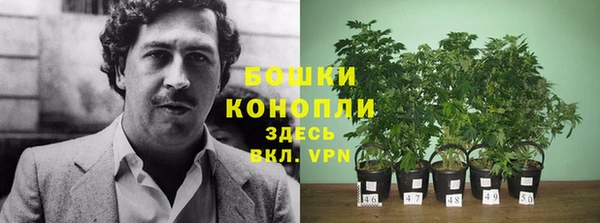 кокаин премиум Богданович