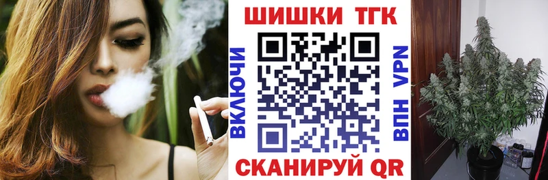 Бошки Шишки план  Озёрск 